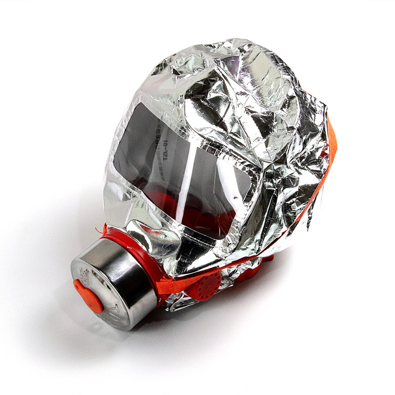 protective mask——TZL30